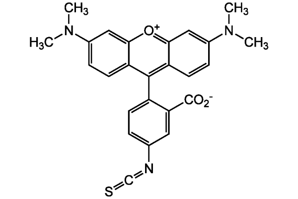 5-TRITC