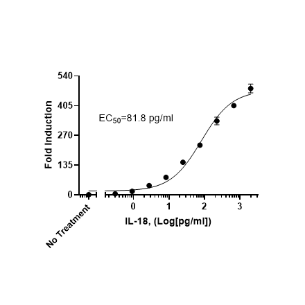 IL-18 Responsive Luciferase Reporter HEK293 Cell Line