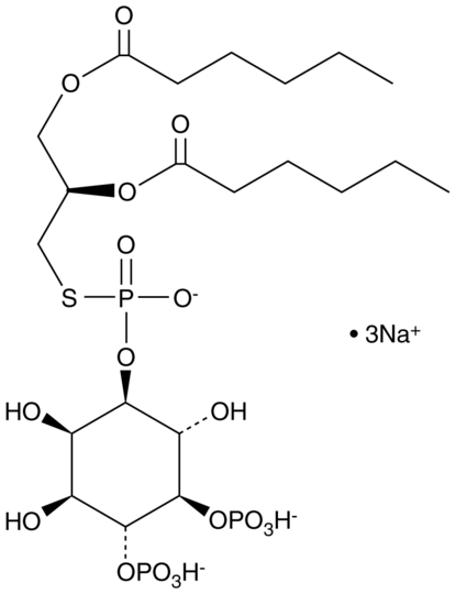 PLC thio-PIP2 (sodium salt)