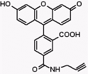 5-FAM Alkyne