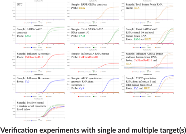 Virus-URP6 (MIC) Multiplexed RT-qPCR Assay