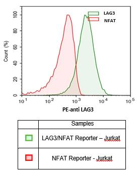 Anti-LAG3, PE-Labeled, Fluosite(TM)