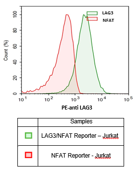 Anti-LAG3 , PE-Labeled