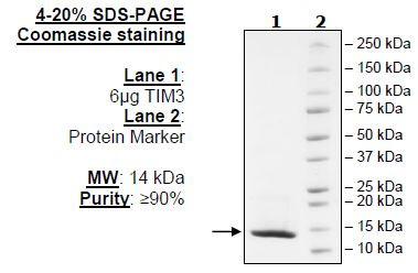 TIM-3, Avi-Tag, Biotin Labeled (Human)