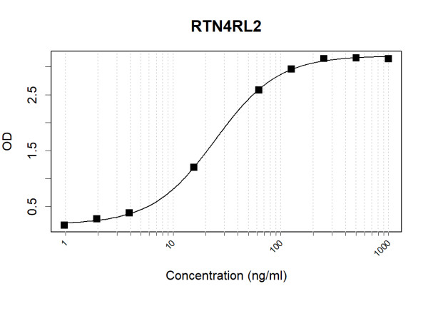 Anti-Human RTN4RL2 Antibody Pair