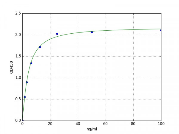 Human SERPINB2 / Plasminogen Activator Inhibitor 2 ELISA Kit