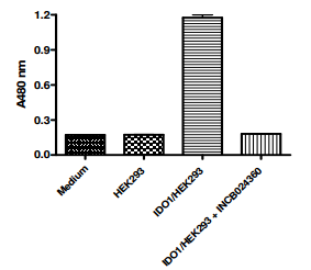 IDO-1 Cell Based Assay Kit