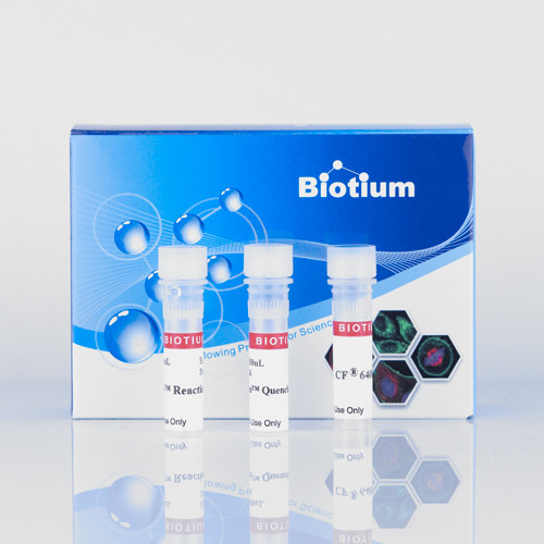 Mix-n-Stain(TM) Maxi CF(R)594 Antibody Labeling Kit labeling