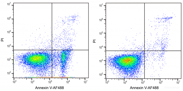 Annexin V-AF488 / PI Apoptosis Detection Kit