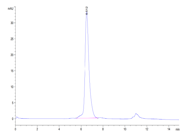Human BAFF/TNFSF13B/CD257 Protein