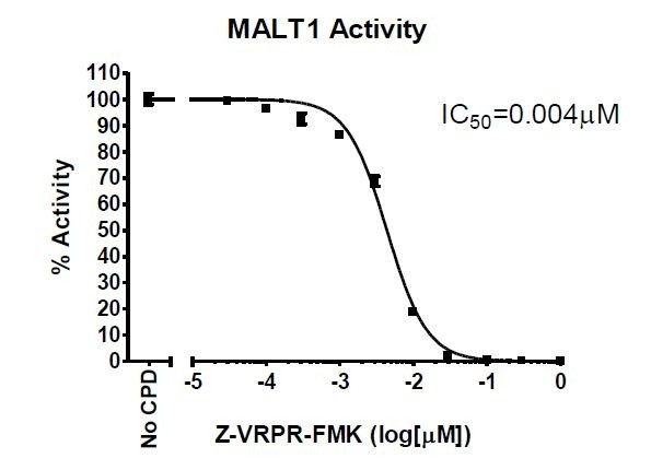 Fluorogenic MALT1 Assay Kit
