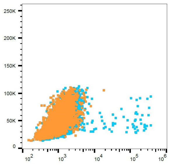Anti-ARHGEF4 (PE), clone ARHGEF-08