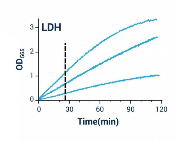 Lactate Dehydrogenase Assay (Colorimetric)