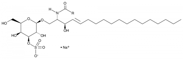 Sulfatide (bovine) (sodium salt)