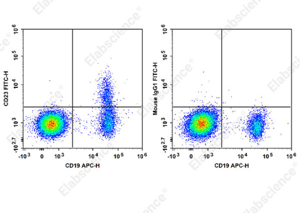 Anti-CD23, clone EBVCS2, Fluorescein conjugated