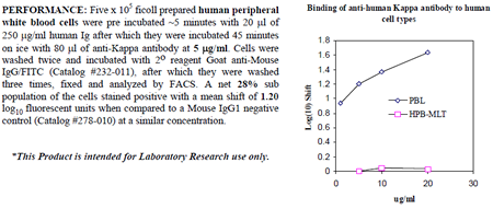 Anti-Ig kappa (human), clone L1C1, preservative free