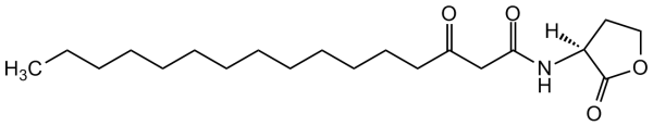 N-(3-Oxohexadecanoyl)-L-homoserine lactone