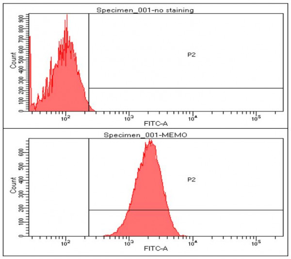 Anti-MEMO1, clone 1E9
