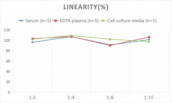 Mouse CRP (C-Reactive Protein) CLIA Kit