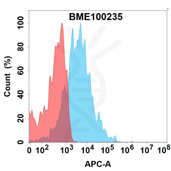 Anti-IL1RL2 (spesolimab biosimilar) mAb