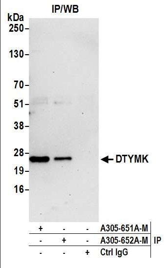 Anti-DTYMK