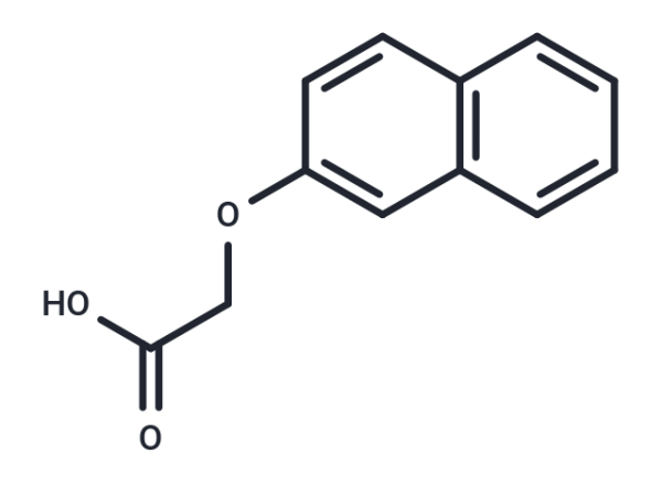 2-Naphthoxyacetic acid