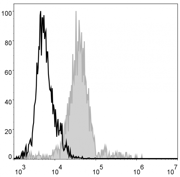 Anti-F4/80 (mouse), clone CI:A3-1, GenieFluor 488-conjugated