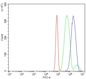 Anti-HIP2 / Huntingtin interacting protein 2 / UBE2K
