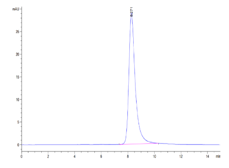 ANGPTL7/CDT6, His &amp; Avi, Human