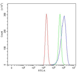 Anti-DAT / Dopamine transporter / SLC6A3