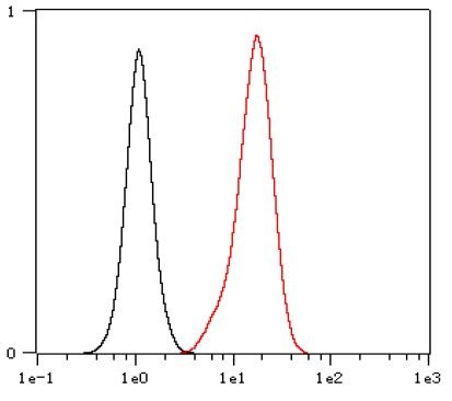 Anti-PCNA, clone SQab18115