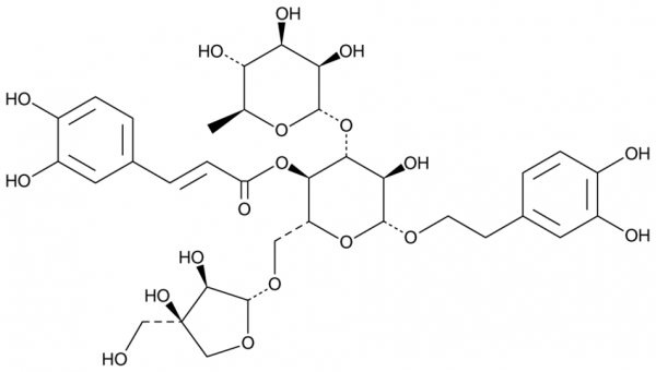Forsythoside B