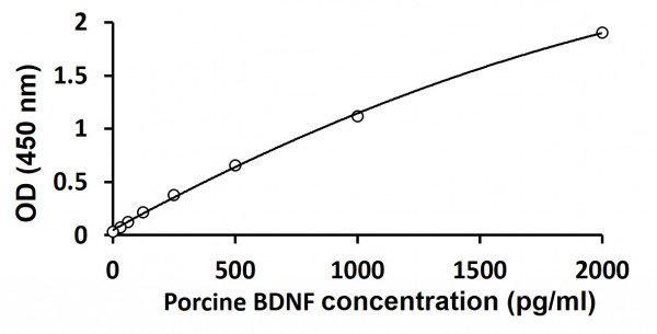 Porcine BDNF ELISA Kit