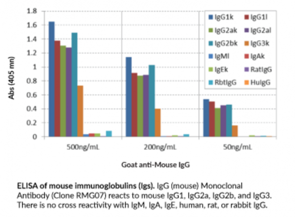Anti-IgG (mouse) (Clone RMG07)