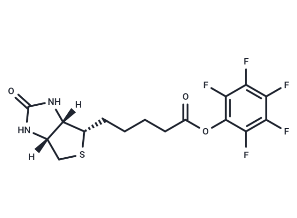 Biotin-PFP ester