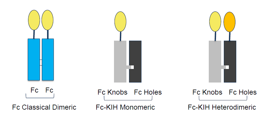 InVivoKines_Figure_2