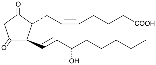 Prostaglandin K2