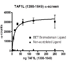 TAF1L (1398-1649), BD1 &amp; BD2, GST-tag, human recombinant protein