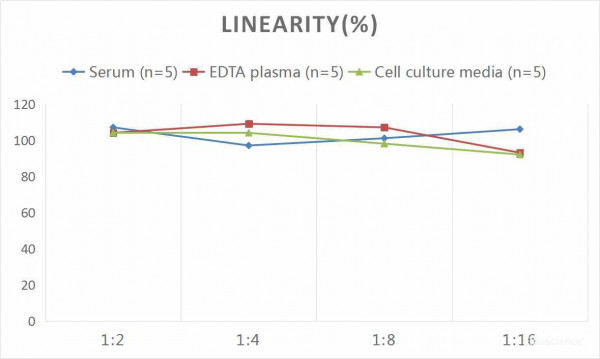 Mouse CTGF (Connective Tissue Growth Factor) CLIA Kit