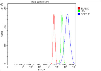 Anti-Bim / Bcl-2-like protein 11