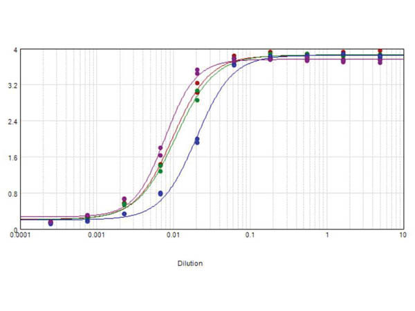 Anti-Human IgG F(ab')2 [Rabbit] (Min X Mouse serum proteins) Peroxidase conjugated