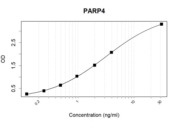 Anti-Human PARP4 Antibody Pair