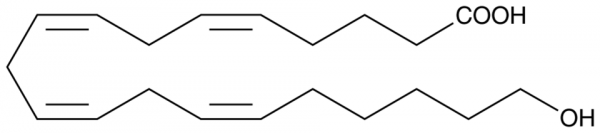 20-HETE MaxSpec(R) Standard