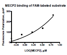 MECP2, human recombinant protein, N-terminal GST-tag