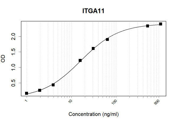 Anti-ITGA11