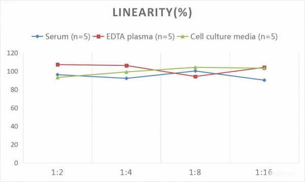 Human ET-1 (Endothelin 1) CLIA Kit