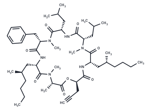 CT-08