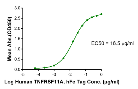 RANKL/TNFSF11/CD254, His &amp; Flag, Human