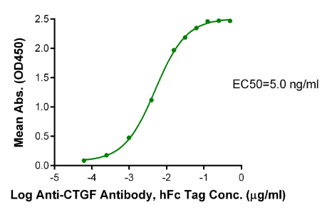 CTGF/CCN2[Biotin], His &amp; Avi, Human