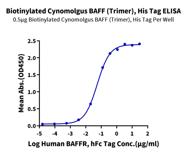 Biotinylated Cynomolgus BAFF/TNFSF13B/CD257 Trimer Protein